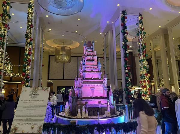 1767706590581590.jpg OVCA6330.JPG