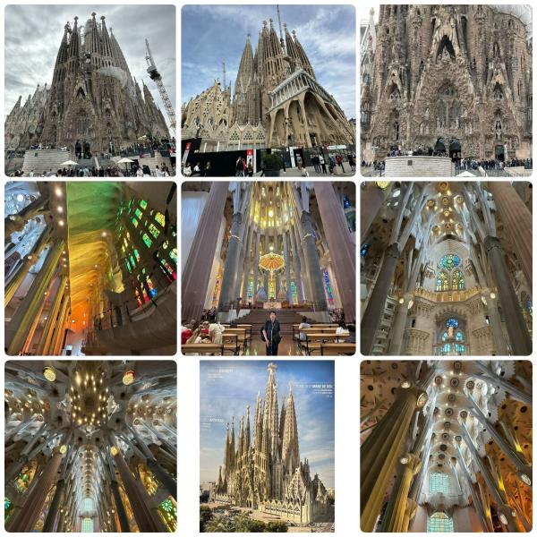 1767710974564776.jpg 70BC170B-8D10-4D80-BE79-5EFAF9CF2846.jpg