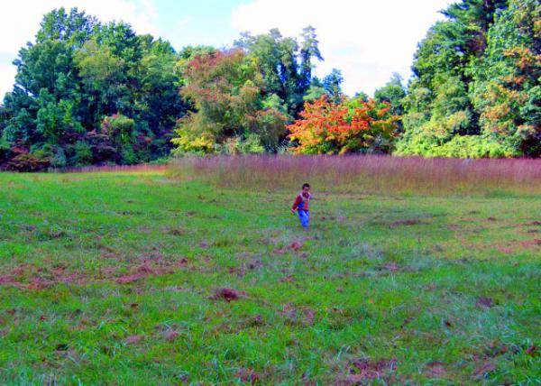 09-16-07_ Farm Field @ Ridley Creek State Park С����Ϫ������԰0001.JPG