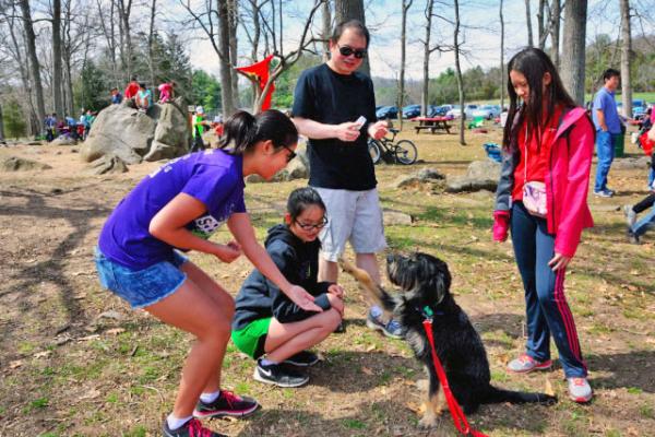 2015-04-19_Sit-Shake ���¡�����0001.JPG