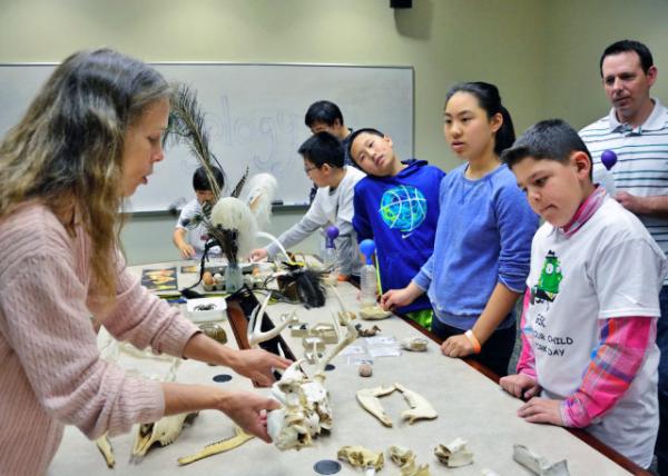 2015-04-23_05_Bone Collection ��ͷ�ɼ�-10001.JPG