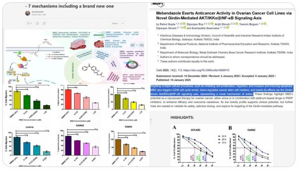 1767839118209724.png image.png