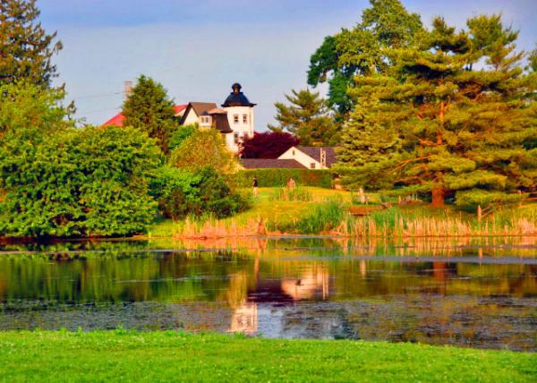 2015-05-29_Mermaid Lake Swim Club-10001.JPG