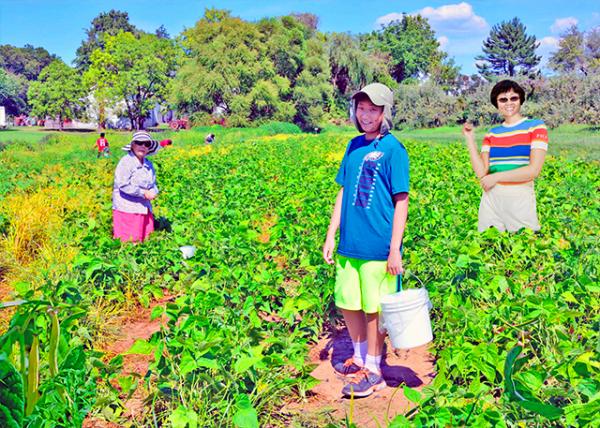 2015-08-02_Styer Orchard_M.JPG