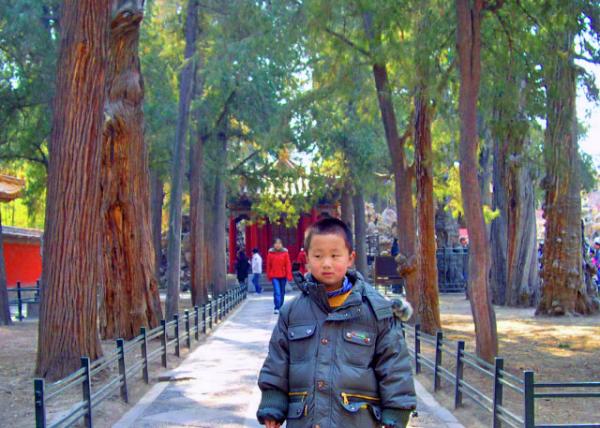 2008-02-11_Imperial Garden ����԰.JPG