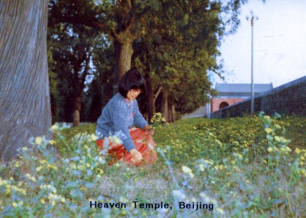 1987-05-04_Temple of Heaven_A Path Shaded by Ancient Cypresses0001.JPG