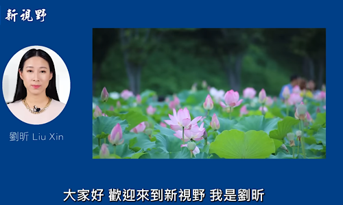 1768022457170486.png IMG_5123.png