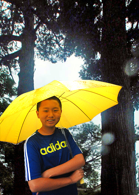 2015-08-31_Maidenhair Trees ������-10001.jpg