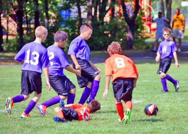 2013-09-07_Purple Poison_Chain Link������Ӧ-50001.JPG