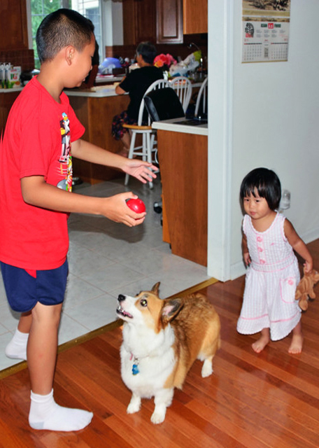 2013-09-01_Ying-Feng's House_Corgi �¼�Ȯ _0001.JPG