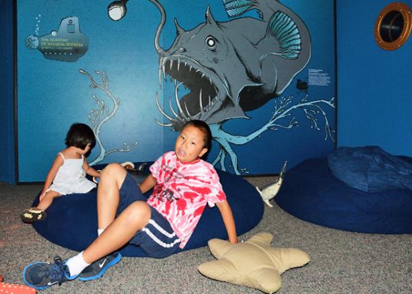 2013-09-02_Academy of Natural History of Drexel Univ ���׿�������ѧ��Ȼ��ѧѧԺ-40001.JPG