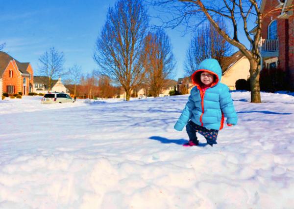 2014-02-22_Tian_Post Winter Storm ����ѩ��-40001.JPG
