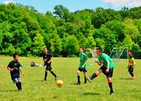 2014-06-07_Defense_Lobbing Pass �ߵ�����-60001.JPG