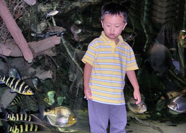 09-01-06_Baltimore Natl Aquarium_Blacktip Reef ������0001.JPG