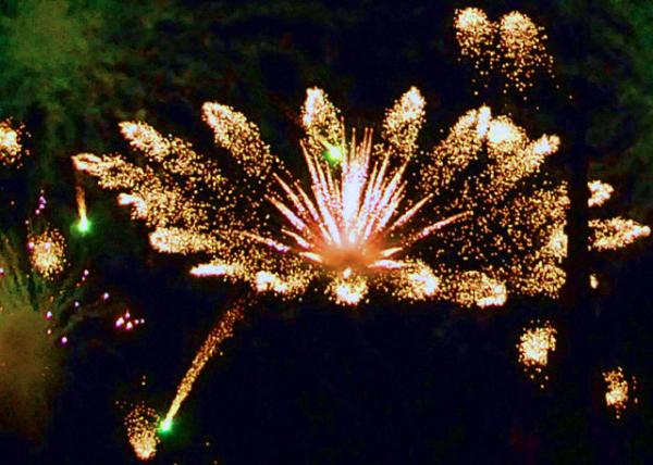 04-06-12_ Fireworks-10001.JPG