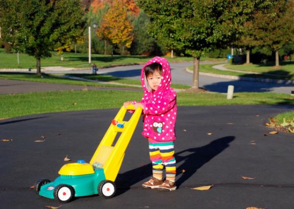 10-22-12_ Driveway Mowing ��������0001.JPG