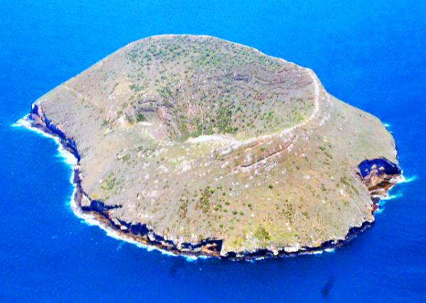 03-28-13_ Daphne Major.JPG