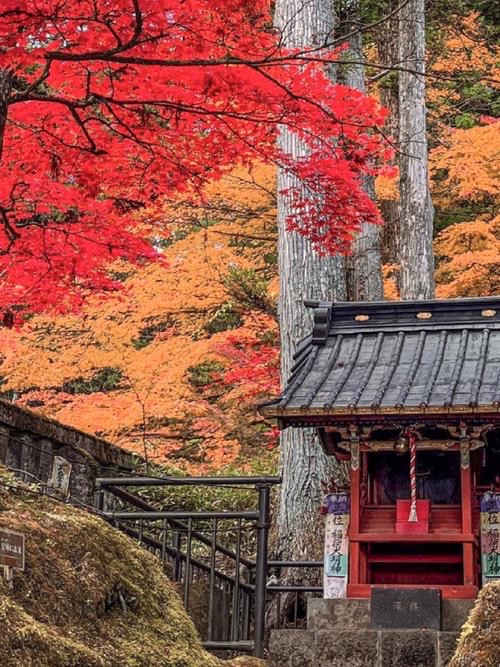 1768444096120490.jpeg IMG_5600.jpeg