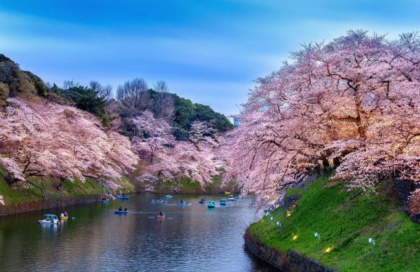 1768444140116940.jpeg IMG_5599.jpeg