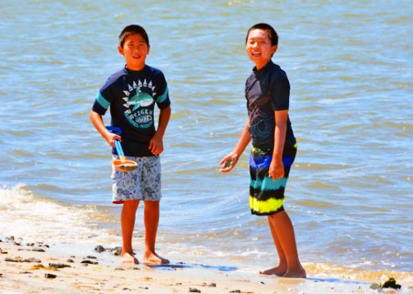 2013-08-04_Tower Rd Bay-40001.JPG