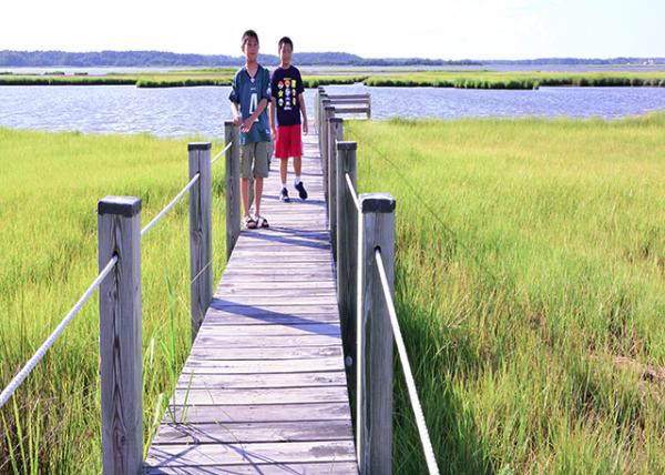 2013-08-04_Delaware Seashore SP ����������������԰-40001.JPG