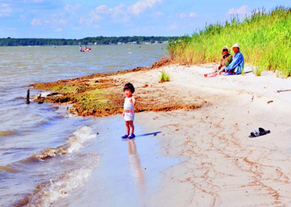 2013-08-04_Rehoboth Bay, the Northernmost of Delaware's Inland Bays �����˹��-360001.JPG