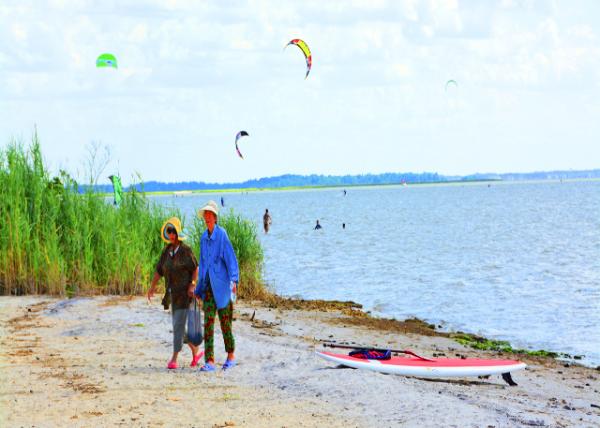 2013-08-04_Grandmas_Common Reed & the Short Form of Smooth Cord «έ��̻����ײ�-40001.JPG