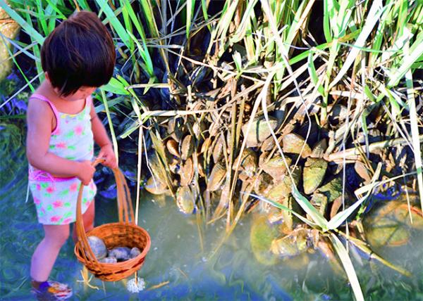 2013-08-04_Atlantic Ribbed & Mussels Hard Clams ���������ݱ������.jpg