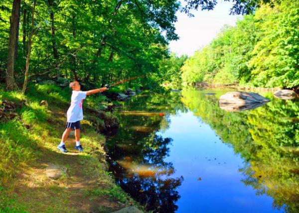 2013-08-24_Swamp Creek-30001.JPG