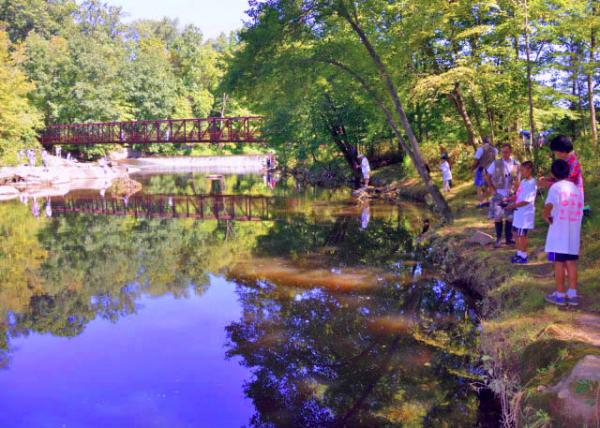 2013-08-24_Swamp Creek ����Ϫ-70001.JPG