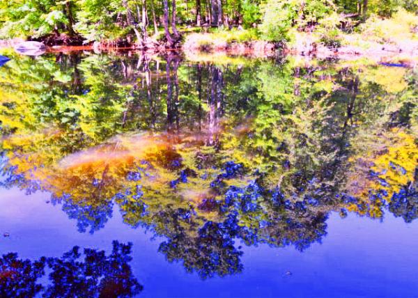 2013-08-24_Swamp Creek-40001.JPG