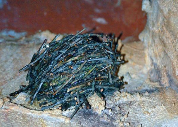 08-15-12_ 0010001.JPG