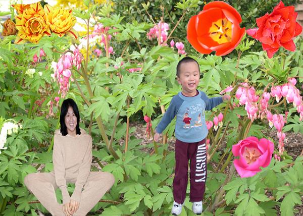 2005-04-09_Front Yard0001.jpg