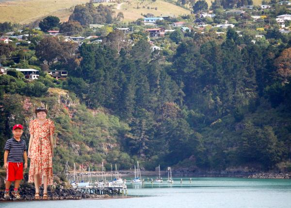 2009-12-25_Lyttelton Harbour of Christchurch via Diamond Princess.JPG
