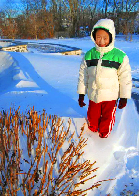 12-27-10_ Snow Storm ����ѩ-20001.JPG