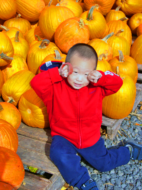 2005-10-23_Halloween Pumpkins ��ʥ���Ϲ�0001.JPG