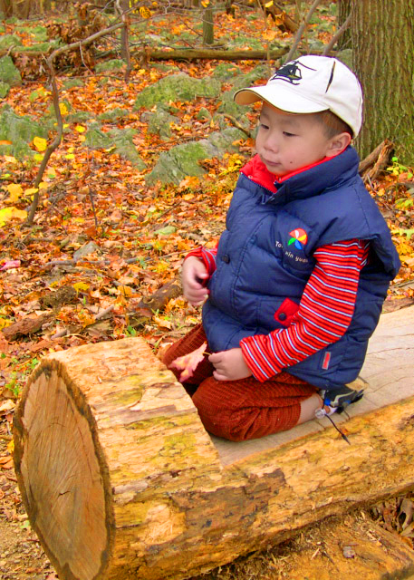 10-22-06_ Hawk Mtn Sanctuary��ɽ��Ȼ���o�^0001.JPG