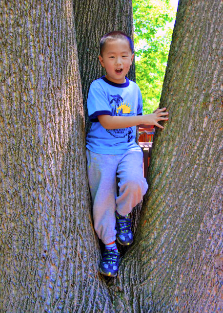 05-26-08_ Kids Castle @ Upper Gwynedd  Park�Ϲ��ڵ���԰����ͯ�Ǳ�0001.JPG
