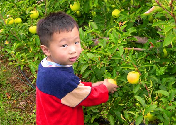 2006-09-23_Apple Pick @ Doylestown Orchard ����悹��@��ժ�O��0001.JPG