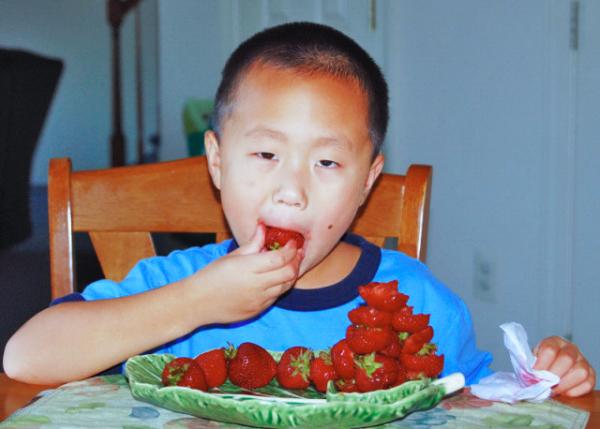 2008-05-26_Pile-up Strawberry Stumps �Ѳ�ݮ�ٰ�0001.JPG