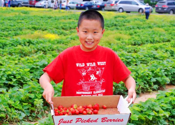 06-17-12_ Aiden-Strawberry-1.JPG