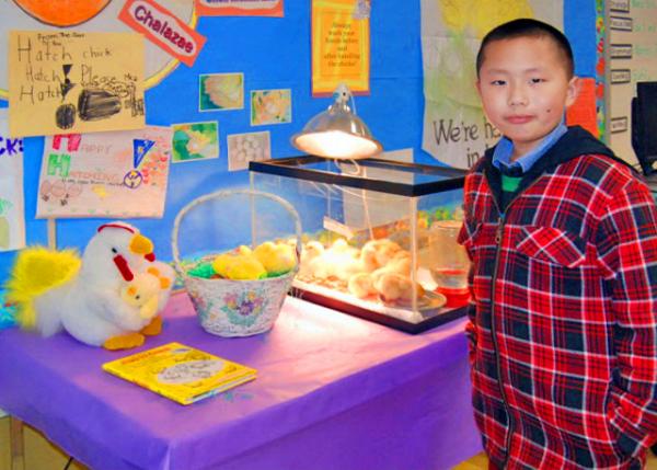 03-17-11_ Embryology0001.JPG