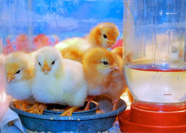 03-17-11_ Farewell0001.JPG