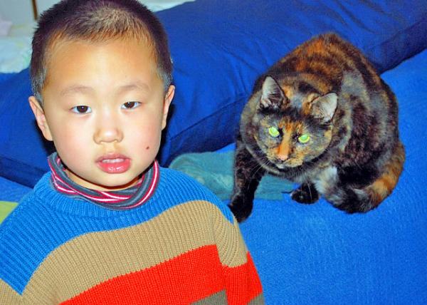 2007-02-25_Cat Dora è�����0001.JPG