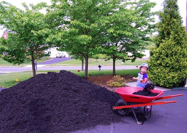2007-05-12_Mulch the Yard ��ľ��0001.JPG