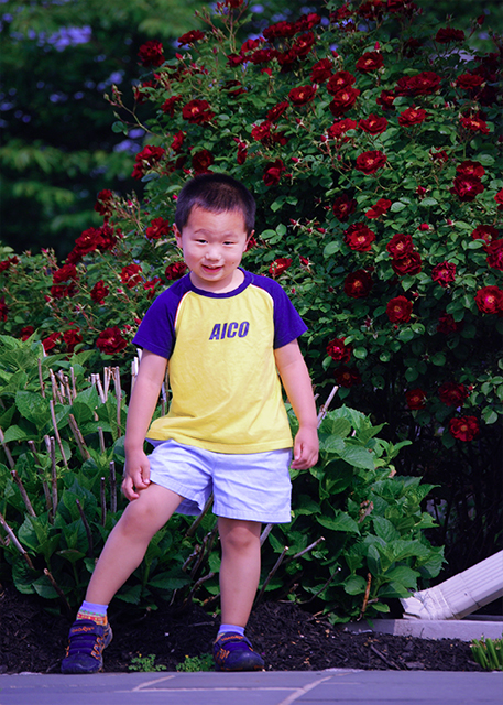 2007-05-28_Rose Patch @ Backyard ��Ժ����԰��0001.JPG