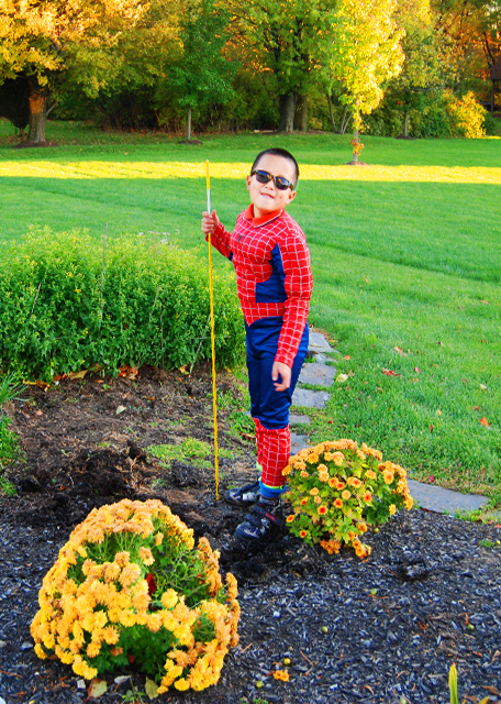 2008-10-31_Spider Man ֩����0001.JPG