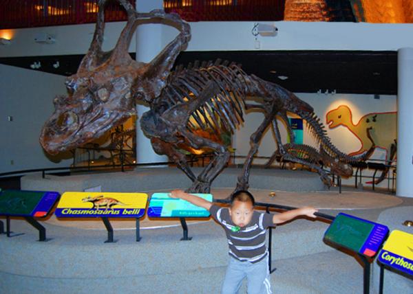 2009-08-31_Chasmosaurus  a Large, Plant-Eating Dinosaur Lived in North America during the Late Cretaceous Period, around 75 Million Years Ago.jpg