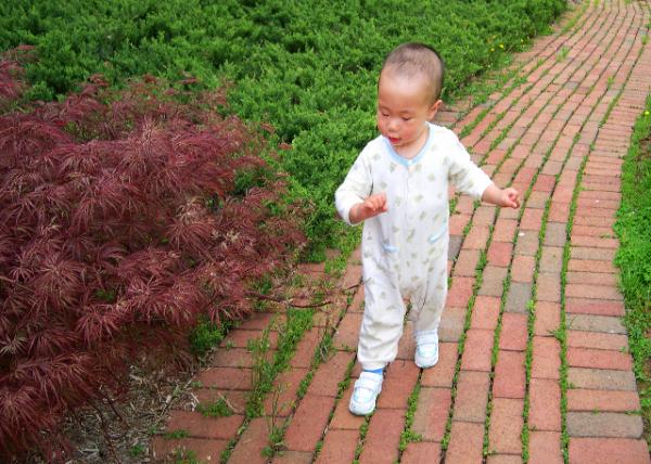 2004-05-01_Wabble to Walk ��ѧ��·0001.JPG