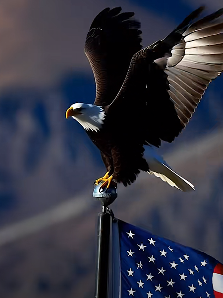 1769104443563354.png IMG_9807.png